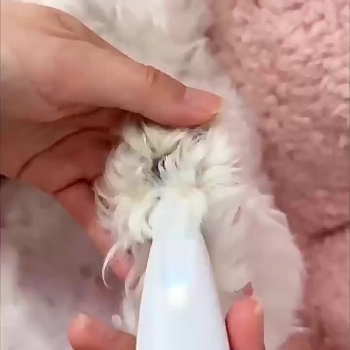 LED Pet Grooming Clipper