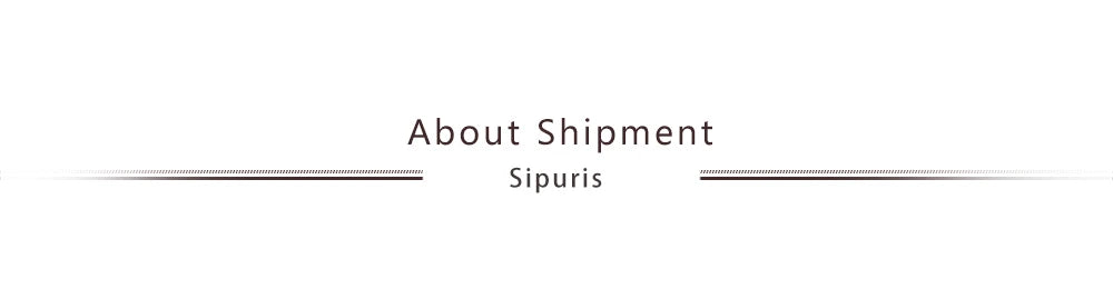 Pet Lover Stainless Steel Bracelet