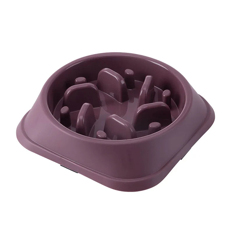 Anti-Choke Dog & Cat Bowl