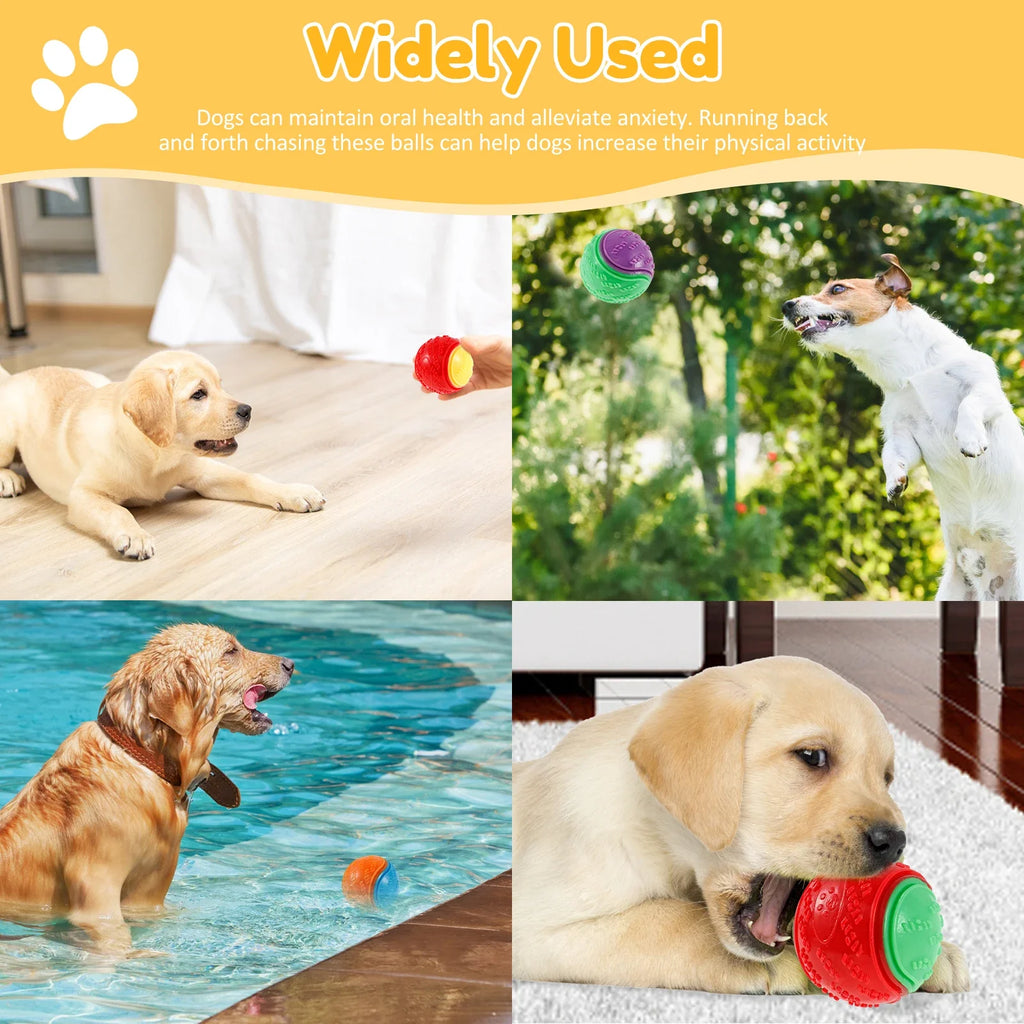 Squeaky Dog Chew Ball