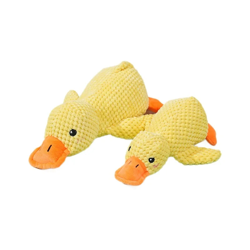 Squeaky Duck Chew Toy