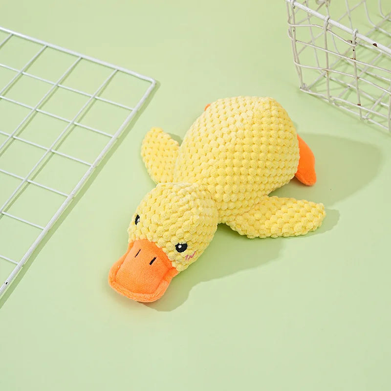 Squeaky Duck Chew Toy