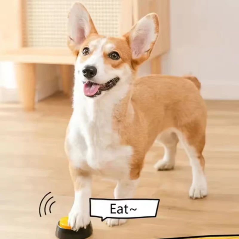 Portable Pet Voice Toy