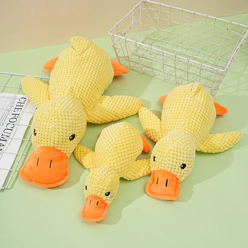 Squeaky Duck Chew Toy