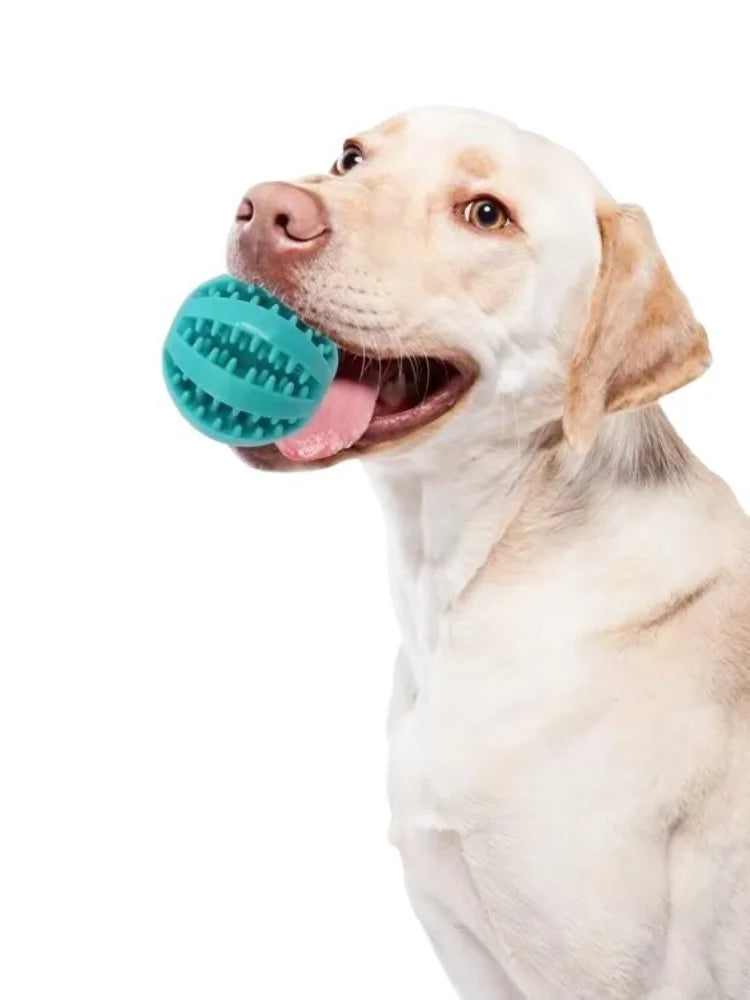 Dog & Cat Chew Toy Ball