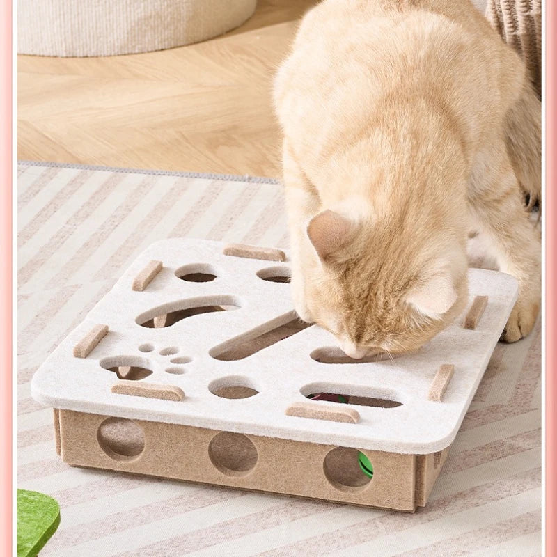 Kitten Entertainment Scratcher