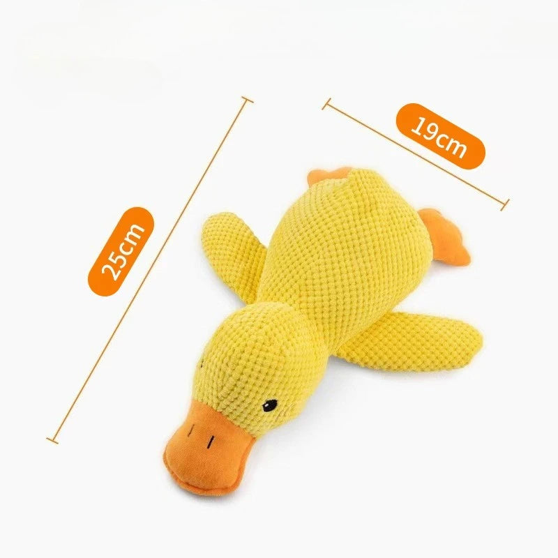 Squeaky Duck Chew Toy