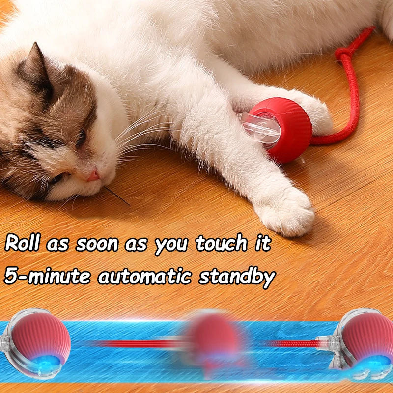 Smart Rolling Cat Toy Ball