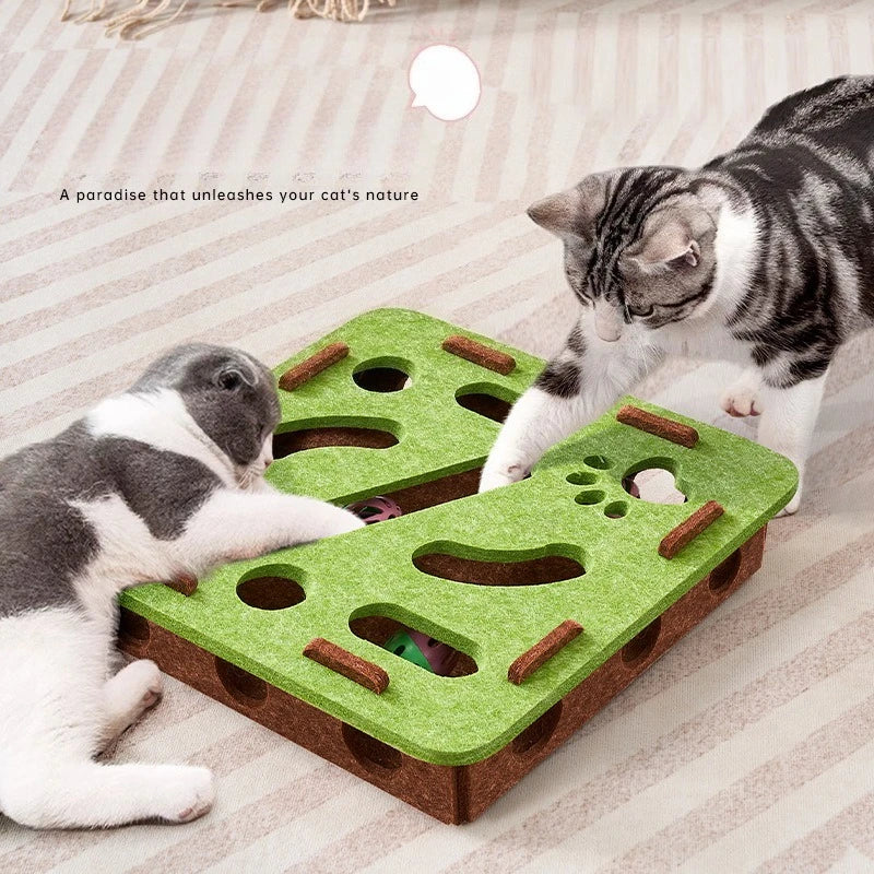 Kitten Entertainment Scratcher