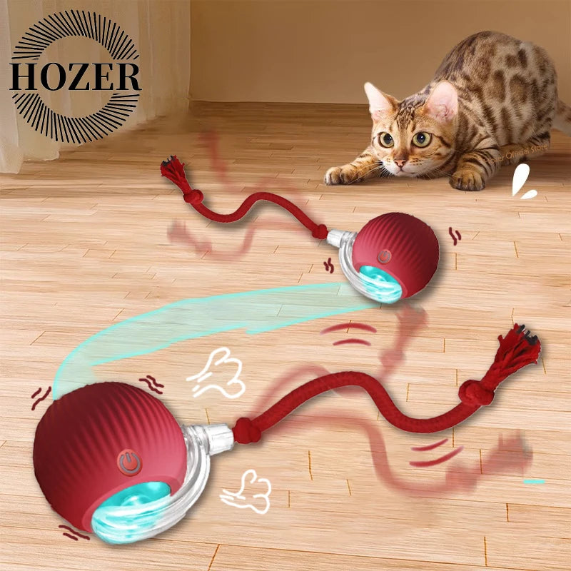 Smart Rolling Cat Toy Ball
