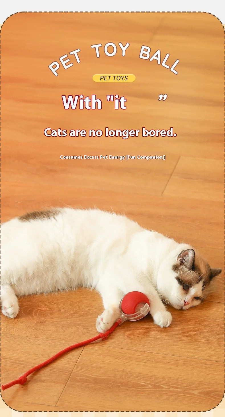 Smart Rolling Cat Toy Ball