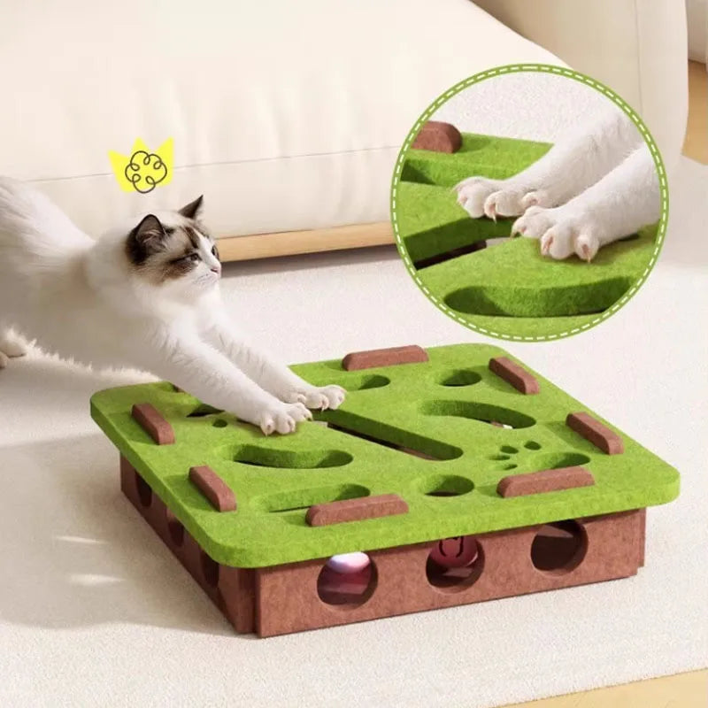 Kitten Entertainment Scratcher