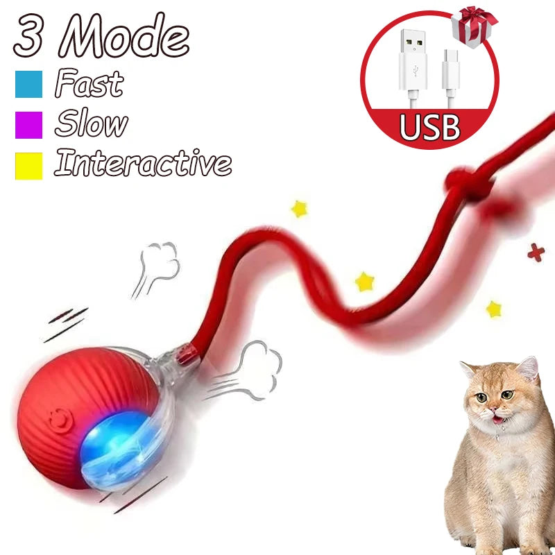 Smart Rolling Cat Toy Ball