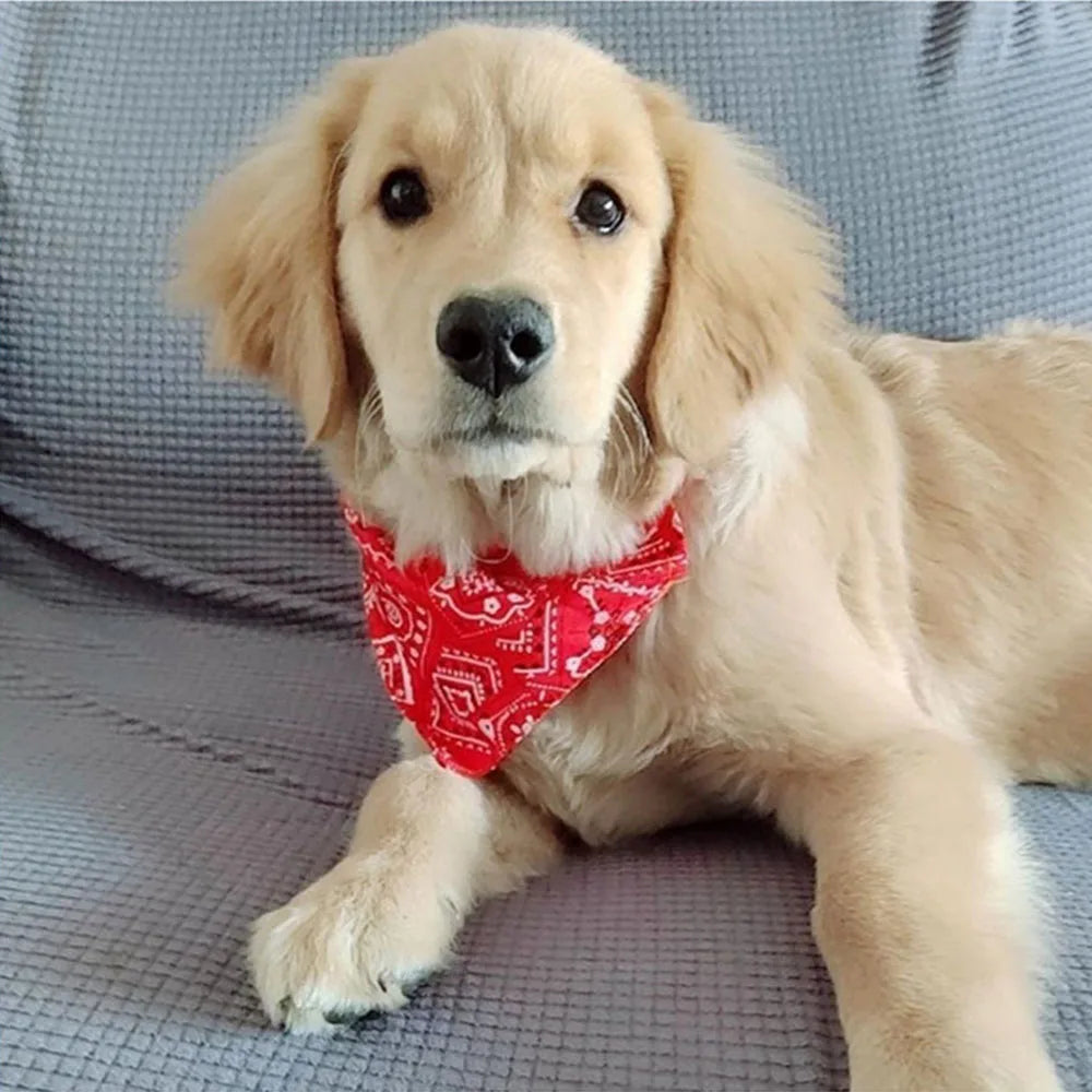 Bandana Collar for Pets