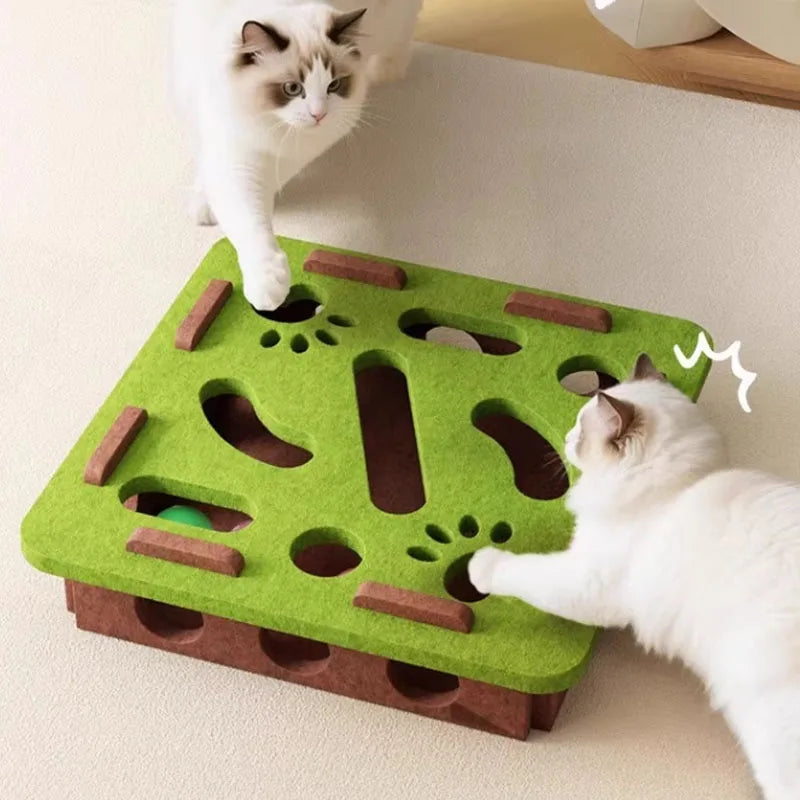 Kitten Entertainment Scratcher