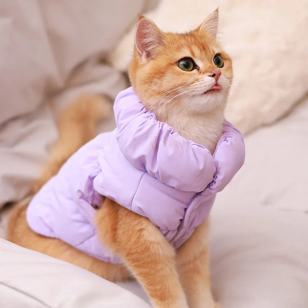 Winter Padded Pet Jacket