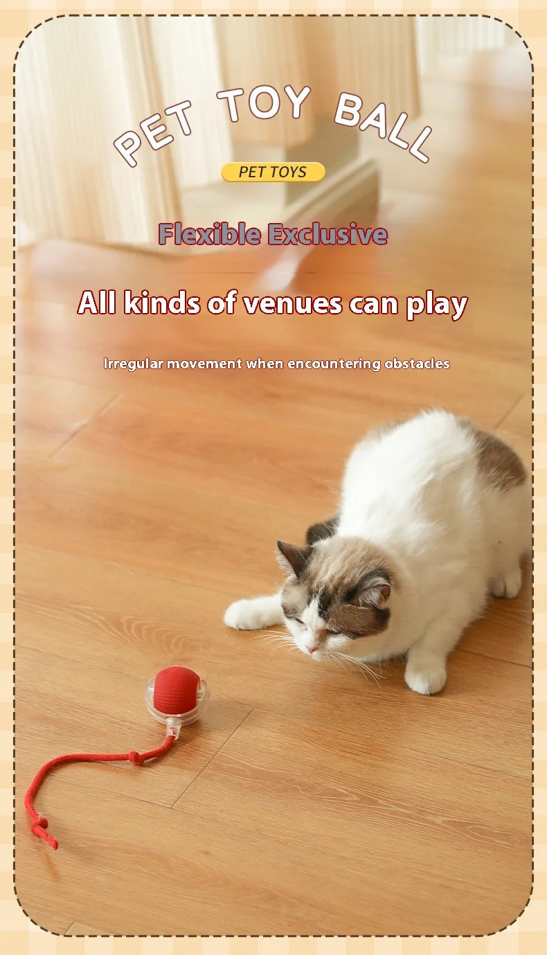 Smart Rolling Cat Toy Ball