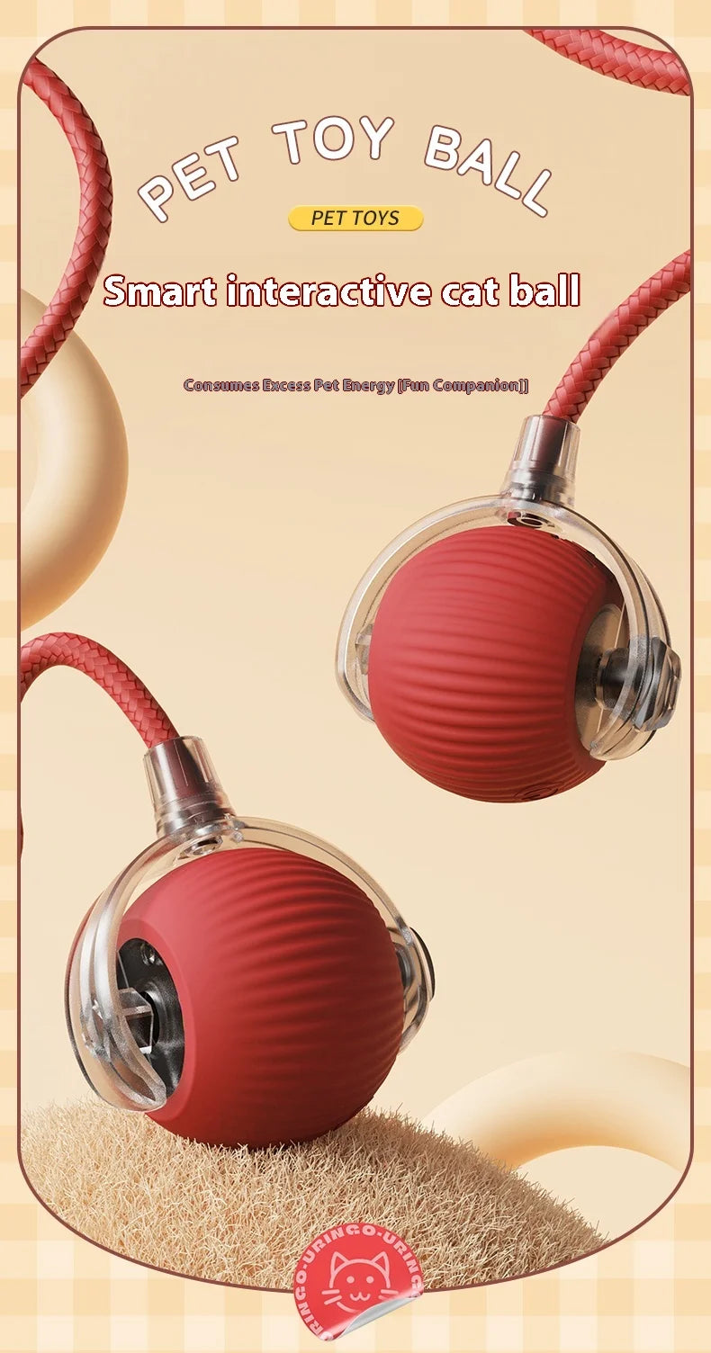 Smart Rolling Cat Toy Ball