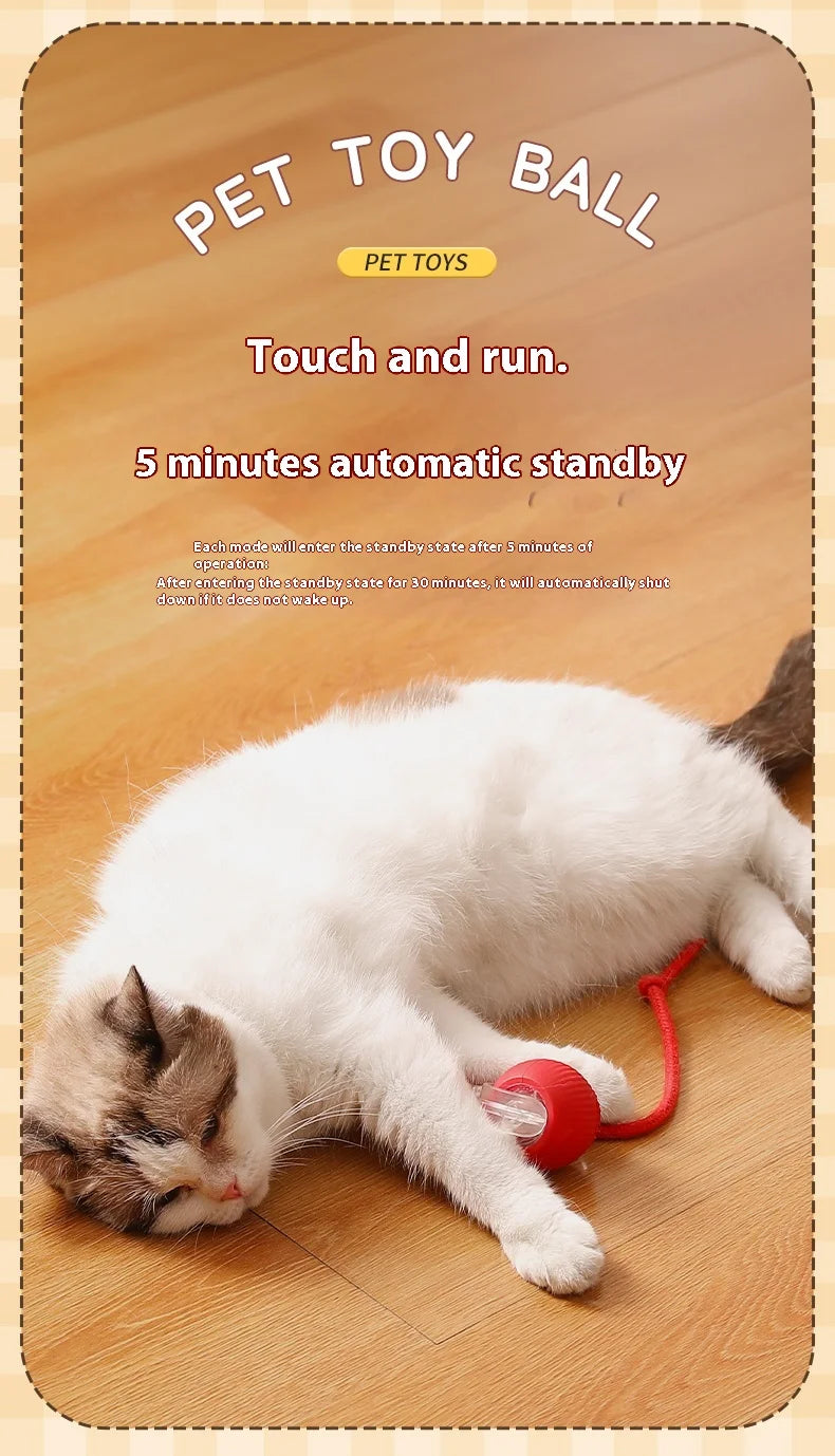 Smart Rolling Cat Toy Ball