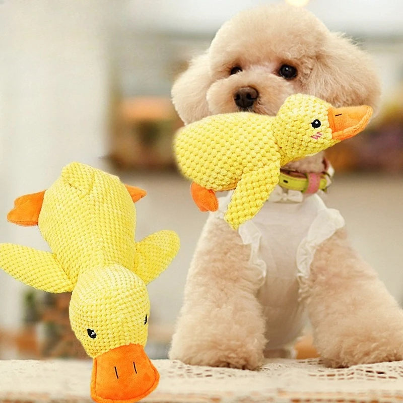 Squeaky Duck Chew Toy