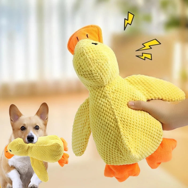 Squeaky Duck Chew Toy