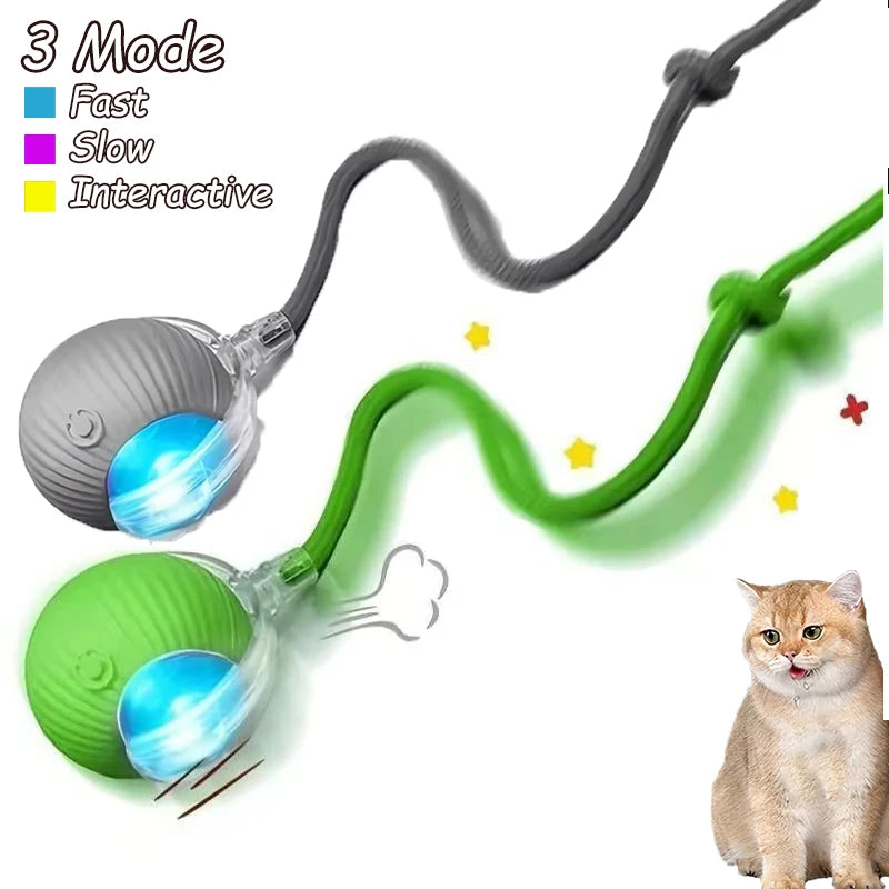 Smart Rolling Cat Toy Ball