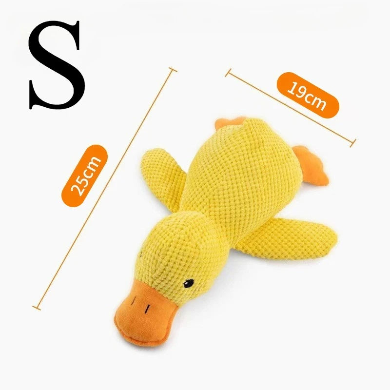 Squeaky Duck Chew Toy