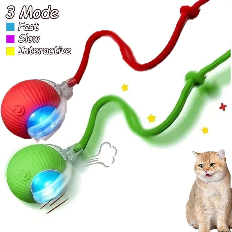 Smart Rolling Cat Toy Ball