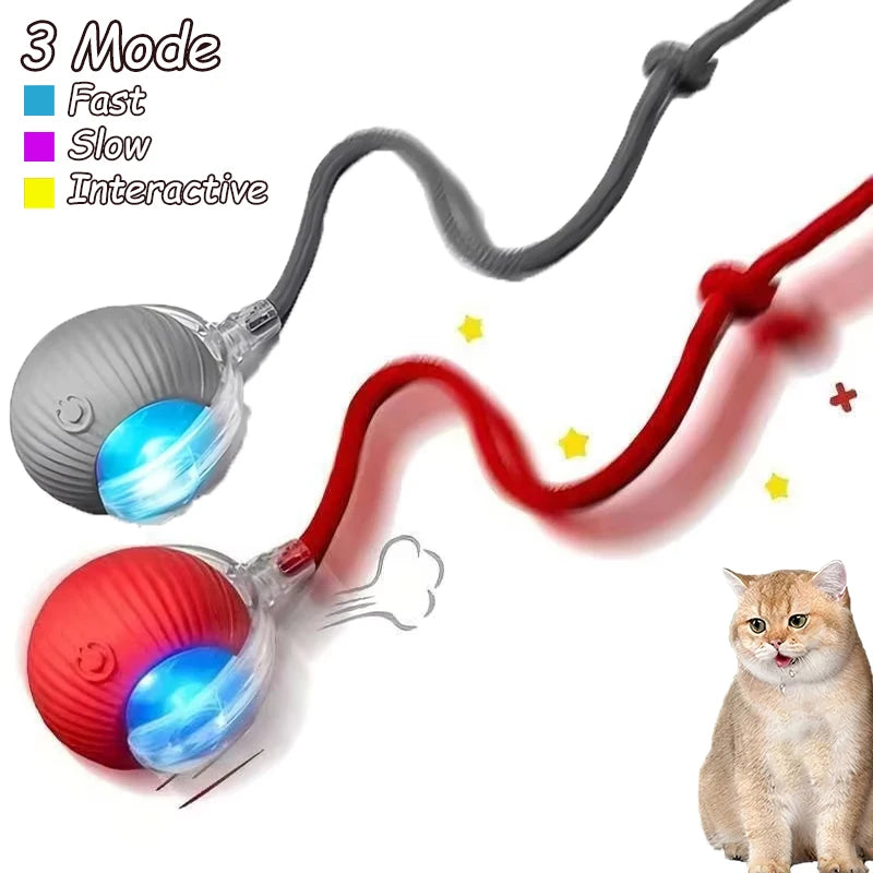 Smart Rolling Cat Toy Ball