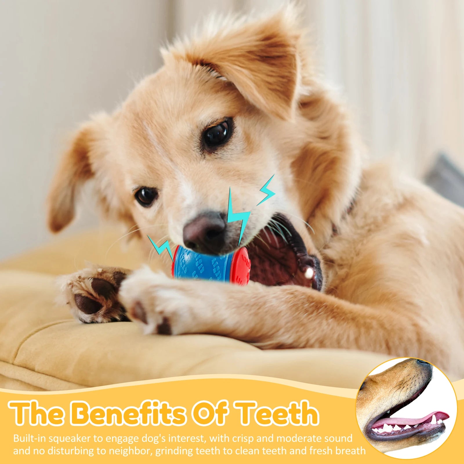 Squeaky Dog Chew Ball