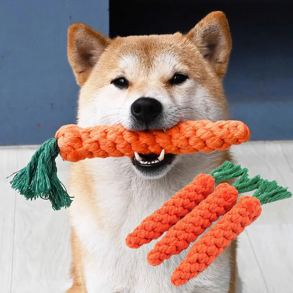 Durable Chew CarrotToy